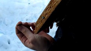 12 калибр стрельба гайками и монетами Zombie shotgun