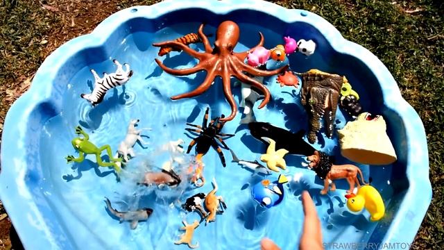 Learn With Wild Animals in Blue Pool Water Shark and Octopus Toys For Kids смотреть онлайн
