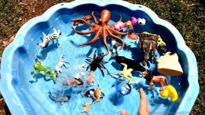Learn With Wild Animals in Blue Pool Water Shark and Octopus Toys For Kids