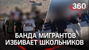Прострелит колени за футболку V: банда неместных грабит и избивает школьников под Питером