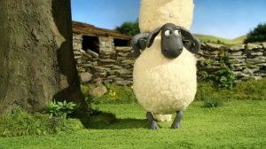 Барашек Шон / Shaun the Sheep: серия 71. Сирота (The Magpie)