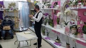 Встреча ОРХОМАНОВ в LETTO Мастер-Класс от ОРХО?рай как правильно Выбрать ОРХИДЕЮ