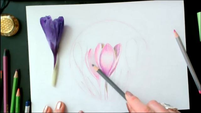 Встречаем Весну! Рисуем НейроКрокус. смотреть онлайн