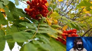 Лиза оторопела от шока, услышав разговор мужа с любовницей. Но дальше её поджидал главный сюрприз..