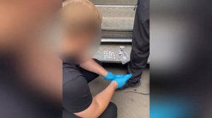 Столичные оперативники, задержав розничных закладчиков, выявили оптовую поставщицу наркотиков