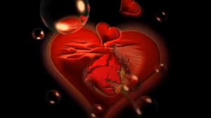 Mohsen Chavoshi~Nashkan Delamo