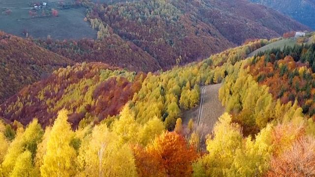 Все ваши заботы исчезнут, если вы послушаете эту музыку ? Расслабляющая музыка успокаивает нервы