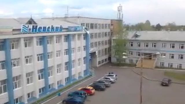 Братск Падун Невский смотреть онлайн