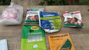 Розы. Калийные удобрения. Как выбрать. Когда и как использовать