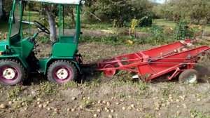 Минитрактор мтз Белорусь с самодельной картофелекопалкой.