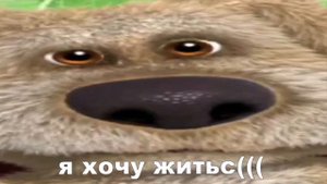 ХОХОХО НОУ