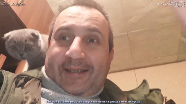 Как мой котёнок "Вислоухий шотландец" не хотел отпускать меня на улицу вынести мусор смотреть онлайн