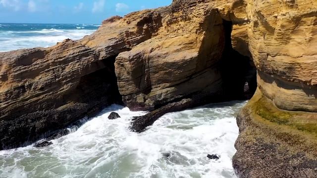 Работа В США Без Знания Языка | Гуманитарный пароль в США смотреть онлайн