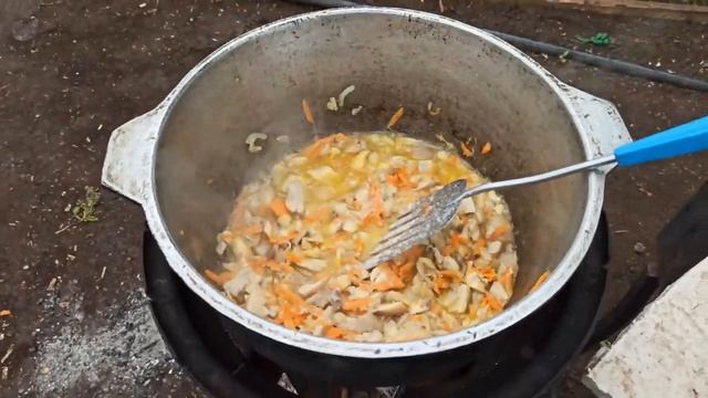 Самая вкусная жаренная картошка с грибами вешенками на костре в казане vsv eda