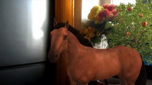 Мы пойдём с Конём по полю вдвоём