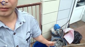 Огнезащитная обработка кровли 500м2. Спецпартнер.