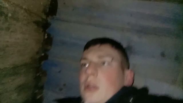 ЗАЖИВО ПОГРЕБЕННЫЙ/НОЧЬ В ГРОБУ/BURIED ALIVE