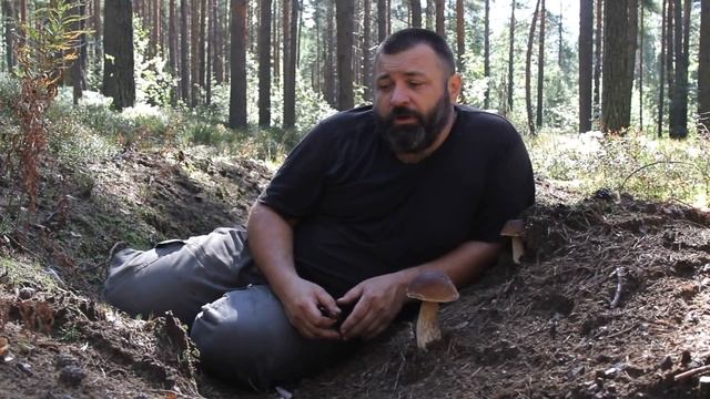 Как правильно собирать грибы, срезать или выкручивать смотреть онлайн