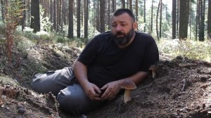 Как правильно собирать грибы, срезать или выкручивать