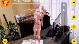 4D энциклопедии с дополненной реальностью: Человек