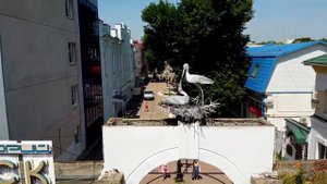 ЕЙЧАНЕ ПЕСНЯ О ЕЙСКЕ