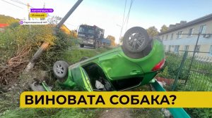 Автопатруль112 / На ножах / Путь в никуда / Пенный фонтан / 14.07.23