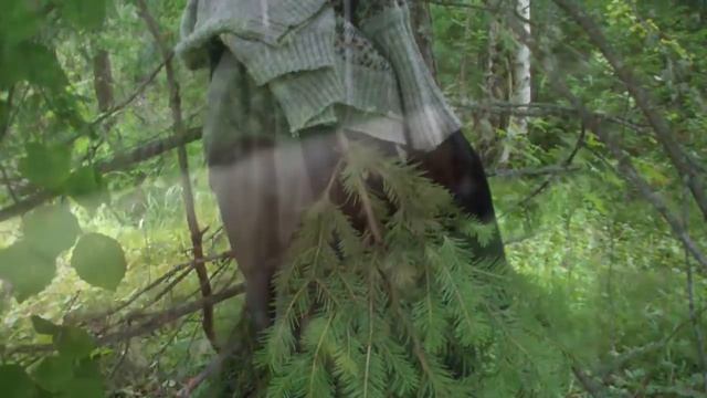 охота на медведя 2021 в Сибири. смотреть онлайн