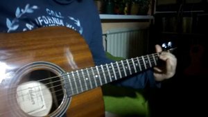 Hohner hw 300g