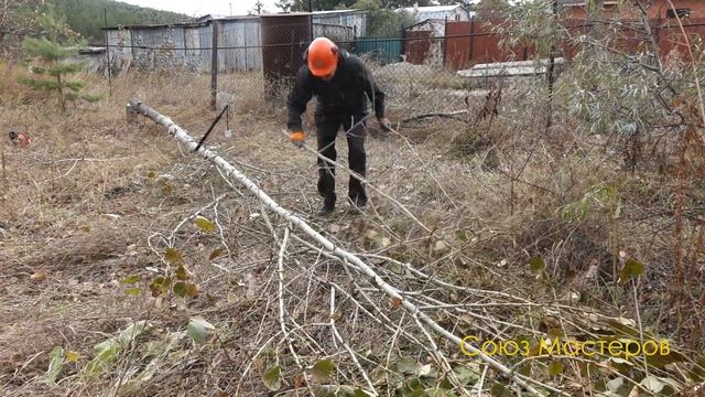 Измельчитель веток Remet RTS 630 на расчистке участка. Валка деревьев и измельчение. смотреть онлайн