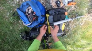 Удаление арбористами трёх деревьев разными способами. Тест снаряжения от Arbostuff и СВТ