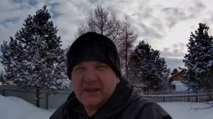 БЕДА. ОТМЕНЯЮ ВЫВОДНОЙ СЕЗОН.СПОРТИВНЫЕ ГОЛУБИ.ВИДЕО TROUBLE..SPORTS PIGEONS