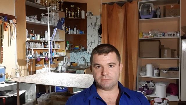 Щенок играя с другими собаками не бращает на вас внимания смотреть онлайн