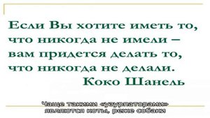 Хорек кусается. Что делать?