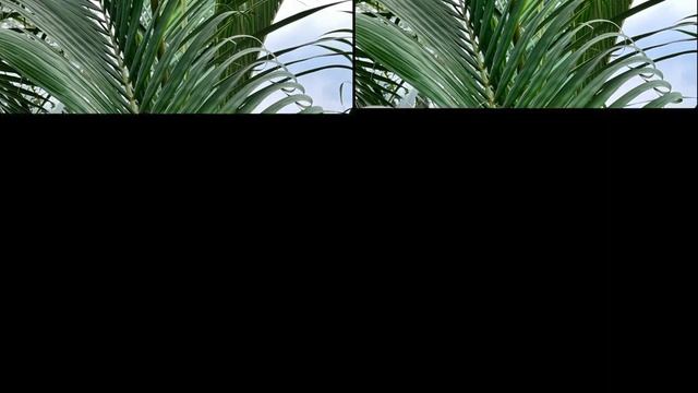 Realme 10 Pro Plus VS Realme 9 Pro Plus Camera Comparison смотреть онлайн