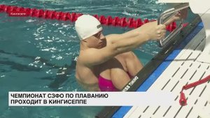 Чемпионат СЗФО по плаванию проходит в Кингисеппе