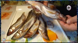 Корюшка рыба. Корюшка фото и видео от  Petr de Cril'on & SonyKpK