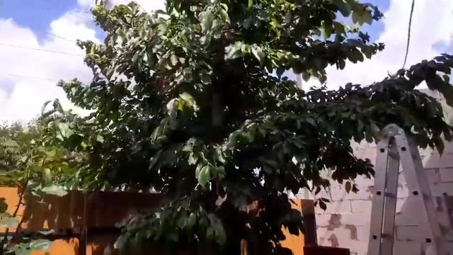 Утро в Крыму. смотреть онлайн