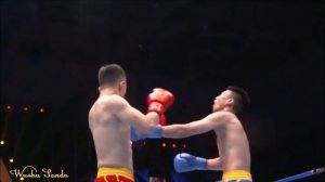 Ушу Саньда Высокий уровень Профессиональные бои Wushu Sanda Pro