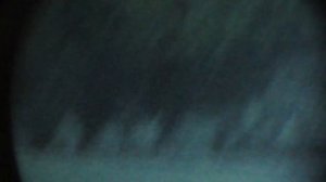 Ночная охота на косулю. Беларусь, 2018 год