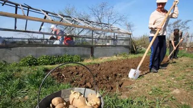 Як українці платитимуть податок на свої дачі за новими правилами смотреть онлайн