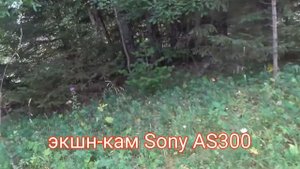 тэст кам. Sony HDR-SX280E и экшн-кам.SONY AS300