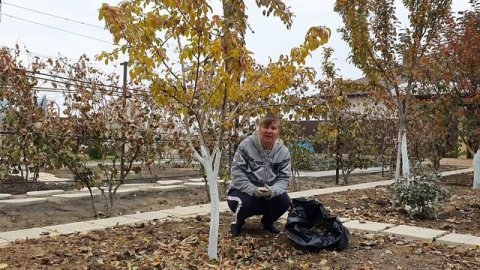 Лучшее бесплатное удобрение: перегной из листьев в мешках - быстрый компост