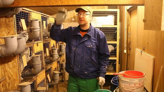 Крольчатам 2 недели. Рацион кроликов смотреть онлайн