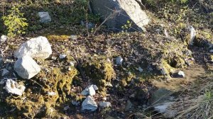 Полярный день