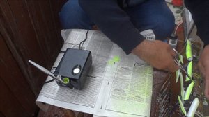 Покраска джерков, поплавков. Бюджетный вариант.
