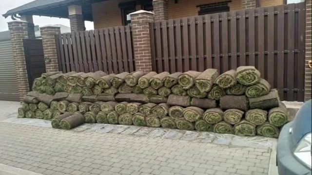 проектирование сада в ростове