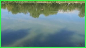 Эффективная практика настоящих ОС. Созерцание стихии воды!