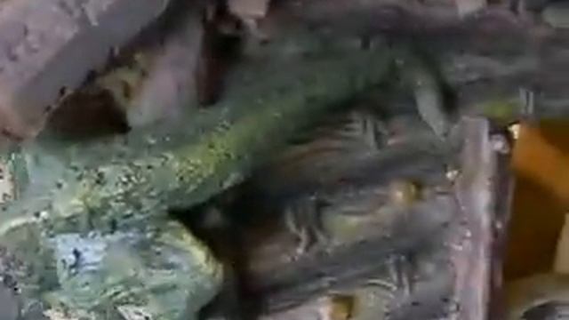 Избушка на курьих ножках смотреть онлайн