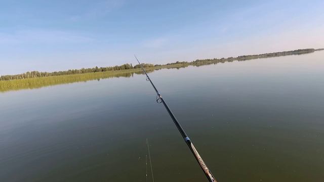 Попал на выход ЩУКИ ! смотреть онлайн