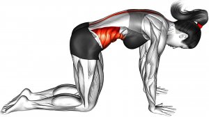 Утренняя зарядка. 8 необходимых упражнений!